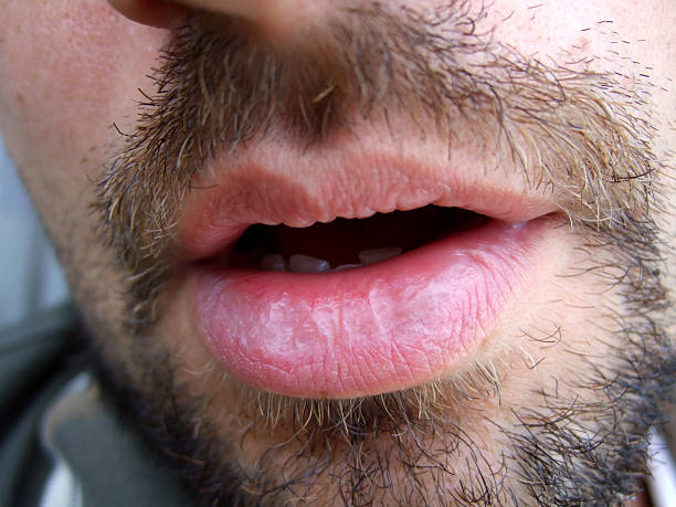 Steev - Villepinte - Aude | Rencontre gay